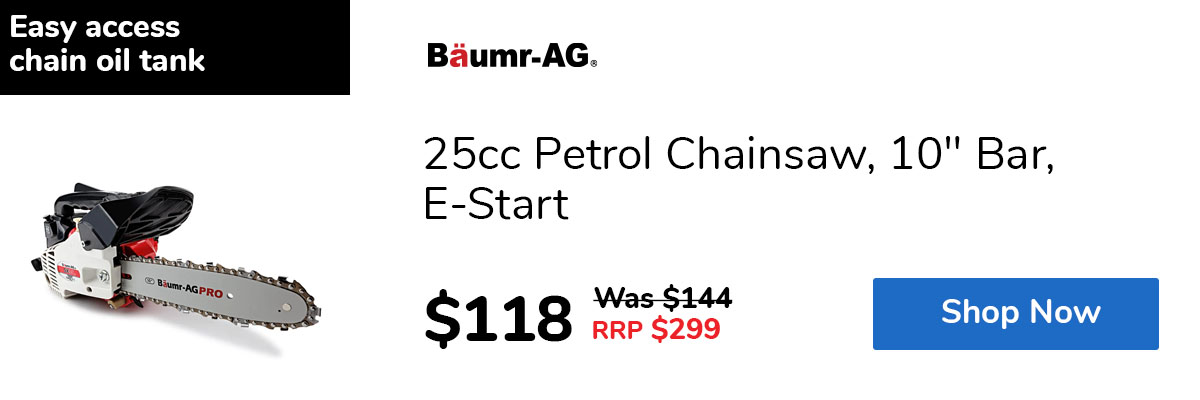 25cc Petrol Chainsaw, 10" Bar, E-Start