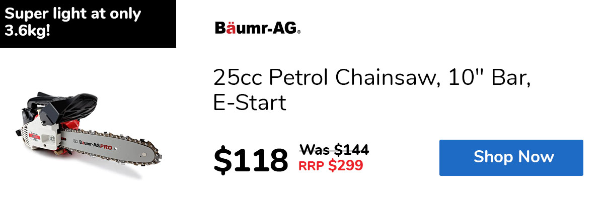 25cc Petrol Chainsaw, 10" Bar, E-Start