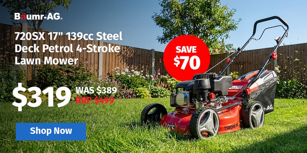 17"  139cc 4-Stroke Lawn Mower