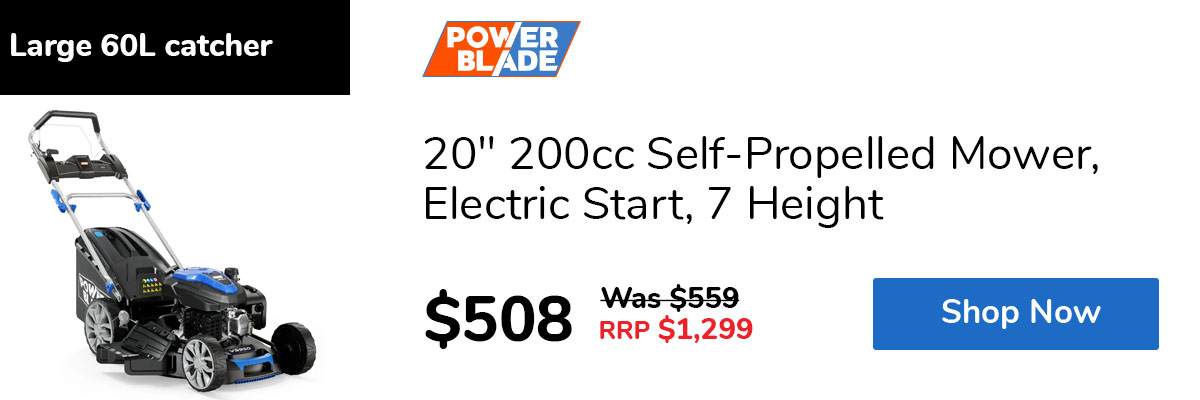 20" 200cc Self-Propelled Mower, Electric Start, 7 Height