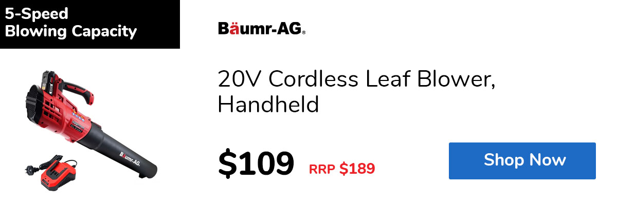 20V Cordless Leaf Blower, Handheld
