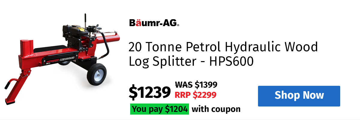 BAUMR-AG 20 Tonne Petrol Hydraulic Wood Log Splitter - HPS600