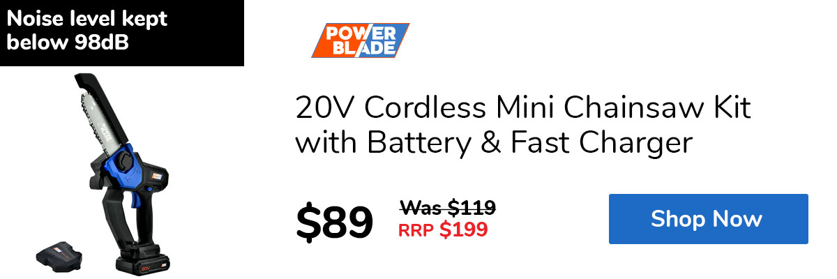 20V Cordless Mini Chainsaw Kit with Battery & Fast Charger