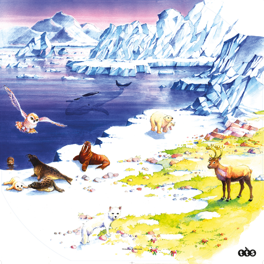  Covoraș pentru activități senzoriale - zona arctică 