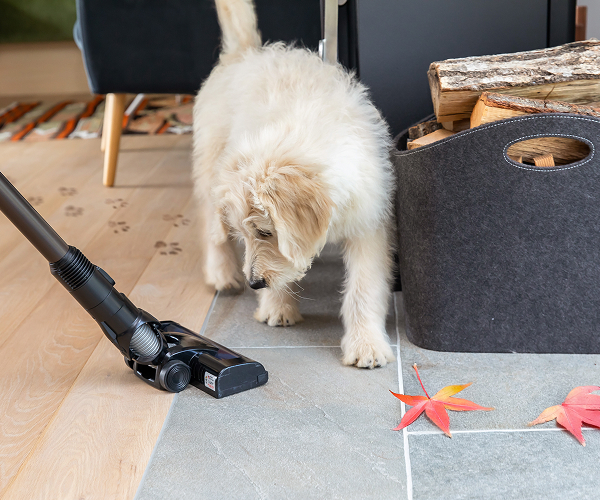 Herbstputz im Nu erledigen