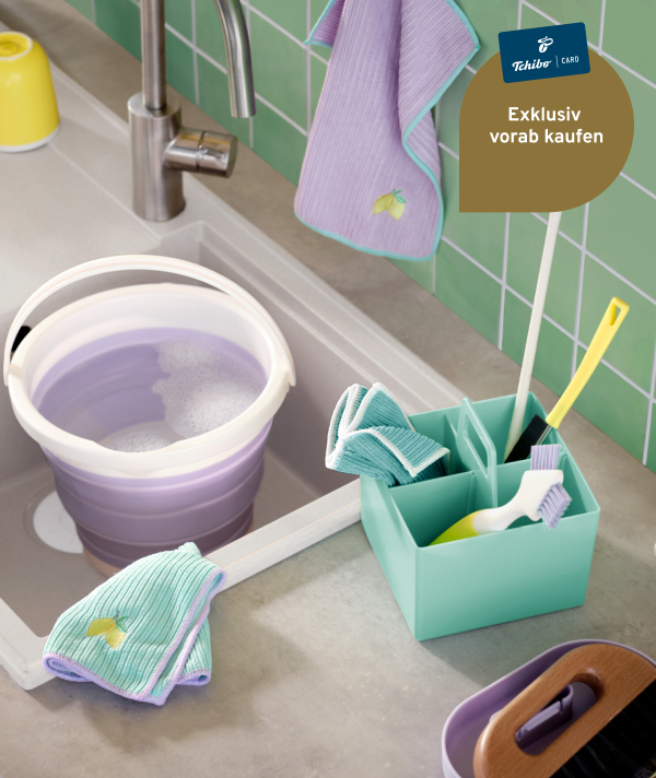 Putz- und Ordnungsprofis für Ihr Zuhause