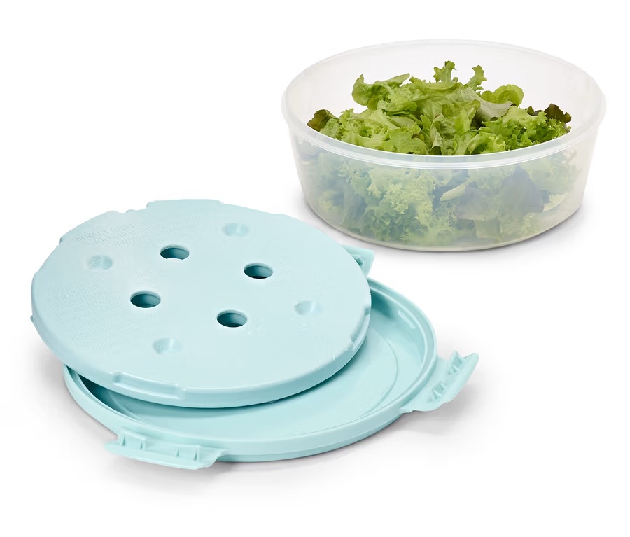 Salatschüssel mit Kühlakku