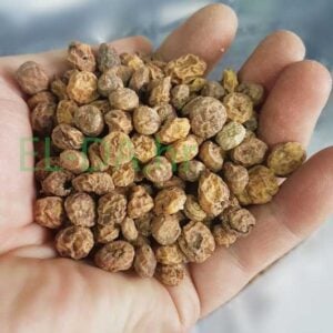 Tiger nuts tigrovi oraščići 8-12mm 1kg