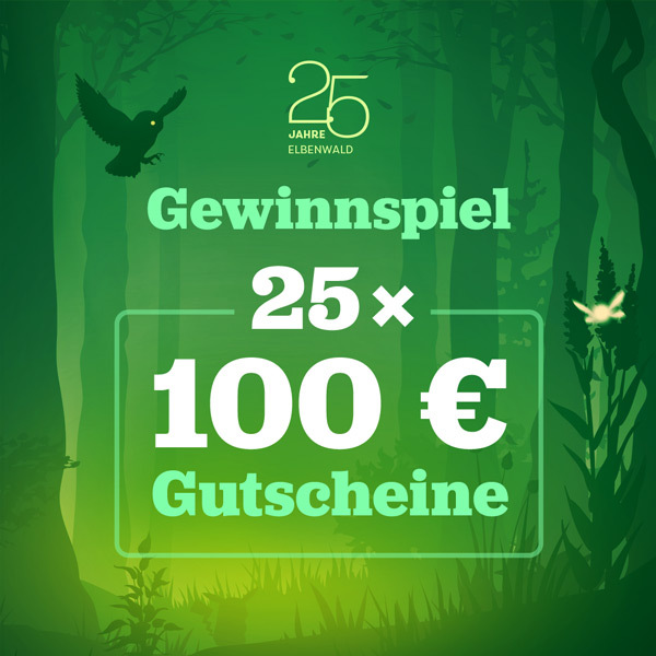 Elbenwald Gewinnspiel - 25 x 100€ Gutscheine
