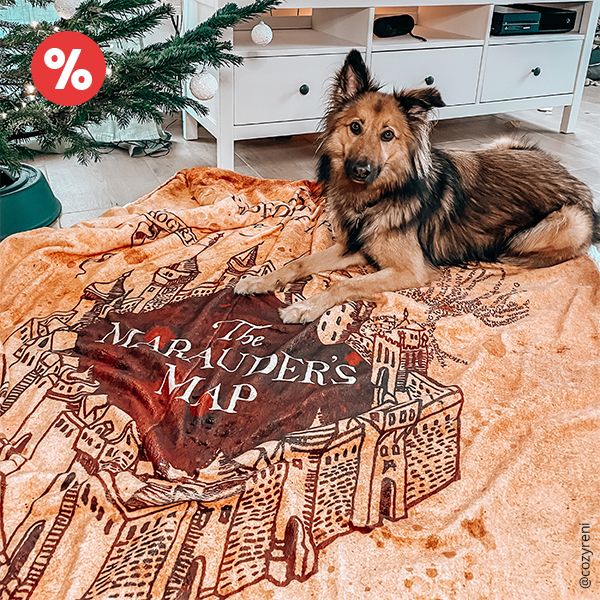 Harry Potter - Karte des Rumtreibers Flauschdecke mit Teddyfell