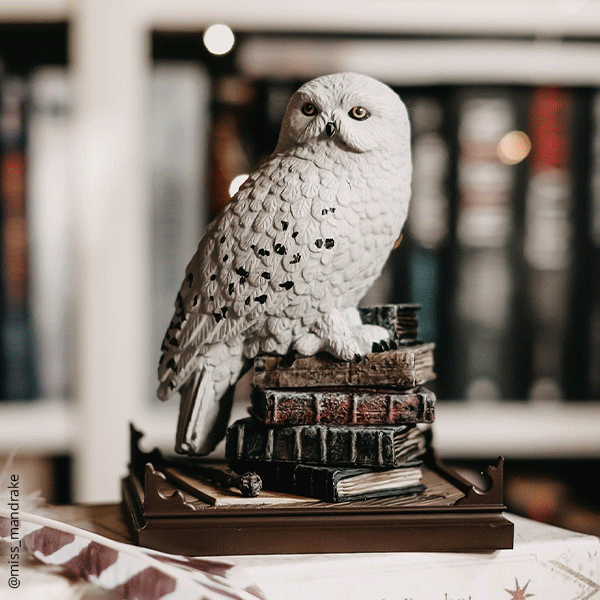 Harry Potter Sammlerfiguren