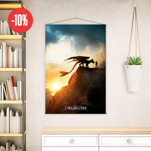 Drachenzähmen leicht gemacht - Key Art Wall Scroll 
