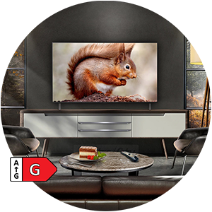 Living room with squirrel on TV screen.