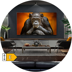 Modern living room with a large TV displaying chimpanzee.