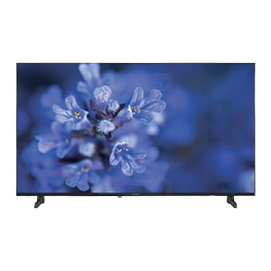 TV screen displaying blue flowers close-up.