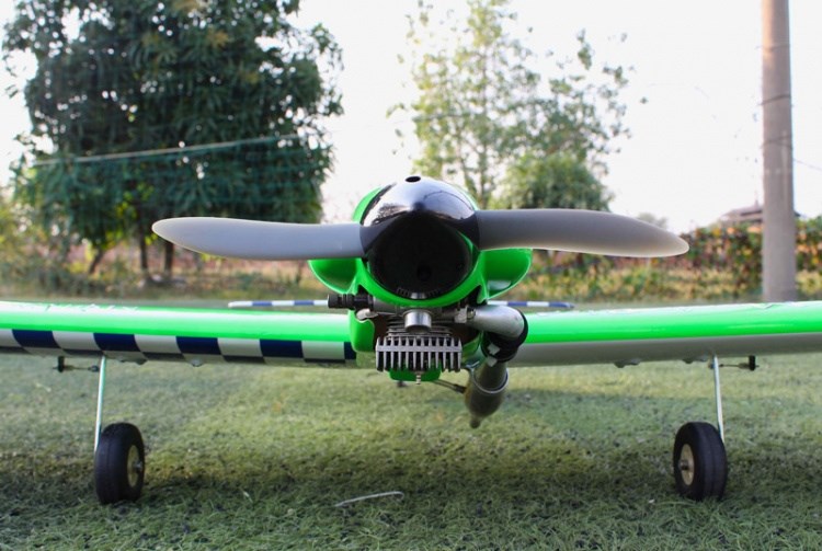 Seagull Magic Bird EF1