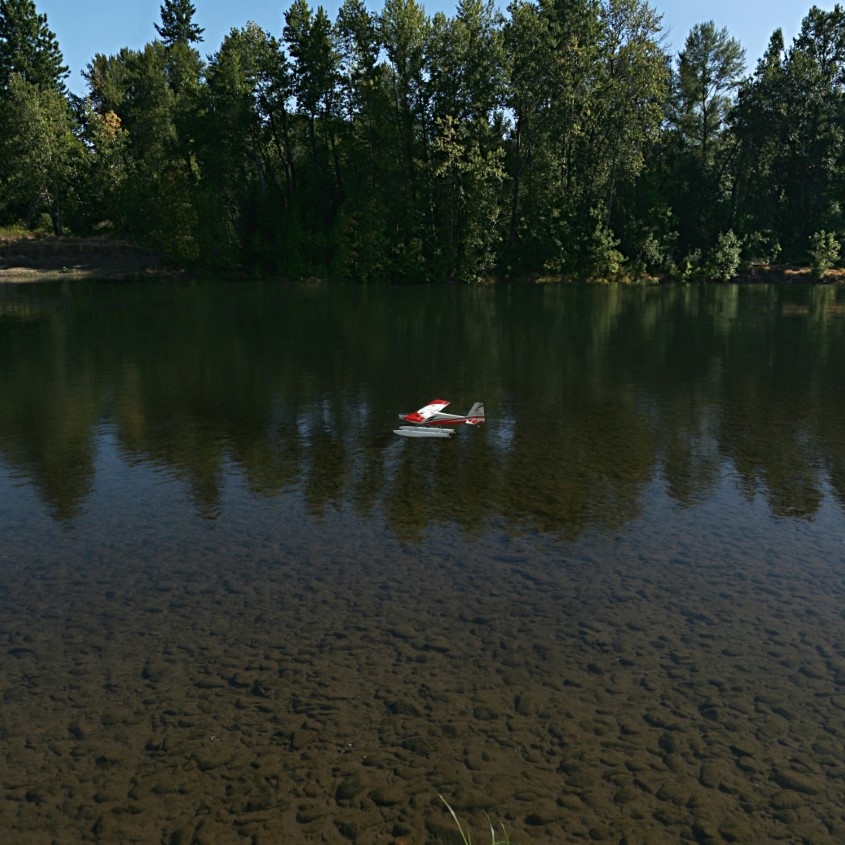 RealFlight Evolution Flysimulator