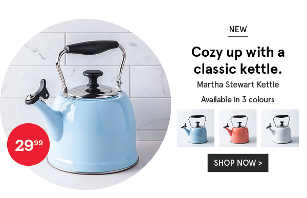 Martha Stewart Everyday Kettle