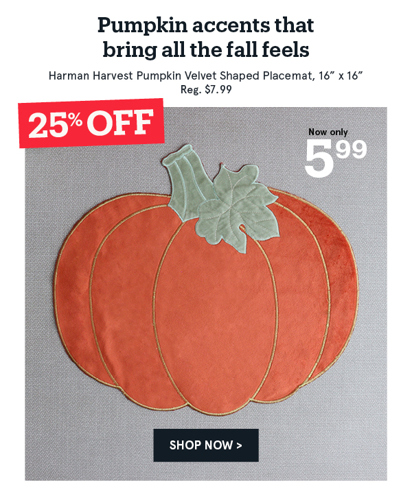 Harman pumpkin placemat only 5.99