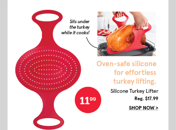 Sili Sling Silicone Turkey Lifter