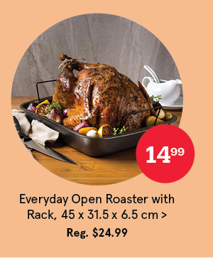 Everyday Non-Stick Roaster with Rack