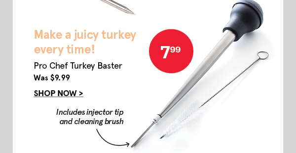 Pro Chef Turkey Baster with Cleaning Brush