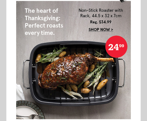 Optimum Non-Stick Roaster With Rack