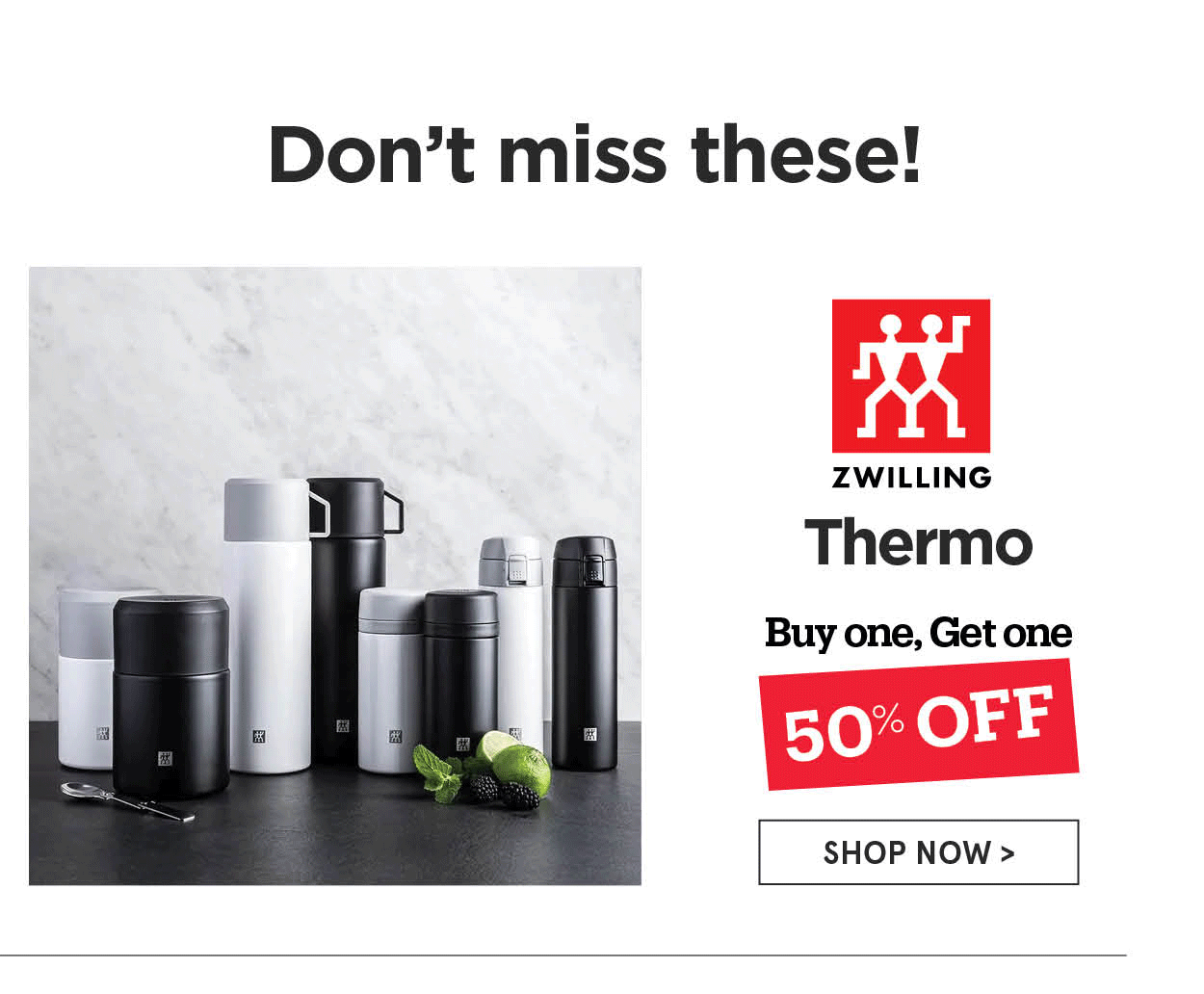 Zwilling Themro