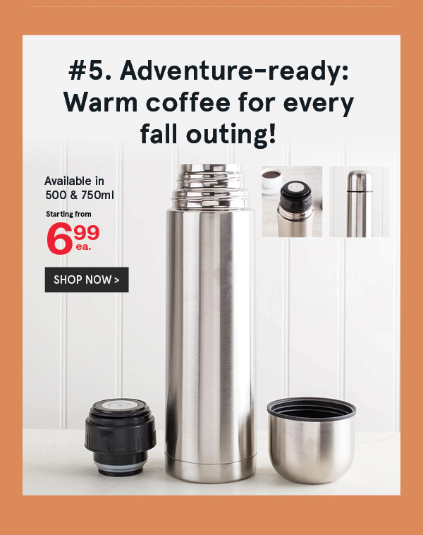 Traveller Vacuum Thermal Flask 