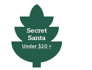 Secret Santa under $20