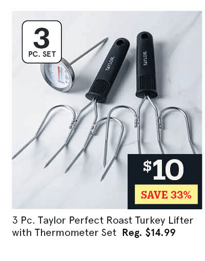  Taylor Perfect Roast Turkey Lifter with Thermometer - Set of 3