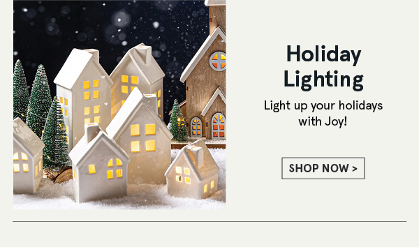 Shop Holiday Lighting