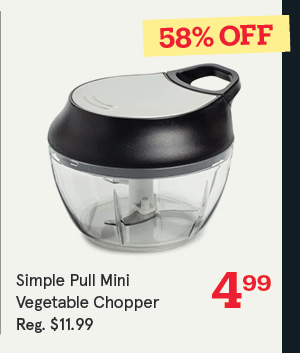 Simple Pull Mini Vegetable Chopper