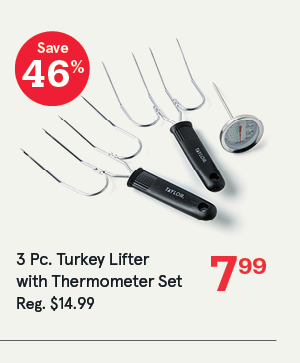 Taylor Perfect Roast Turkey Lifter with Thermometer - Set of 3