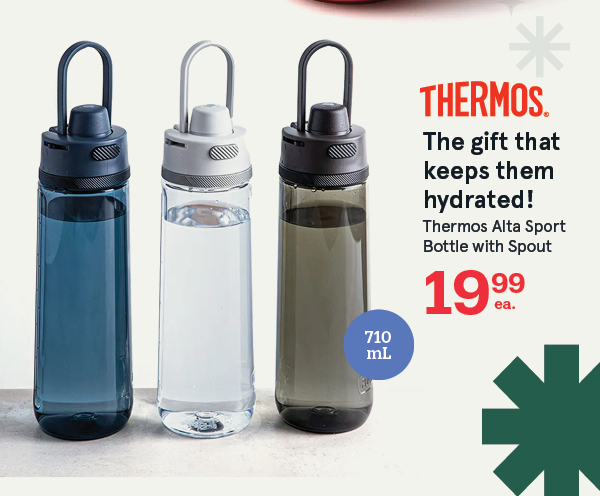 Thermos Alta Sport Bottle with Spout