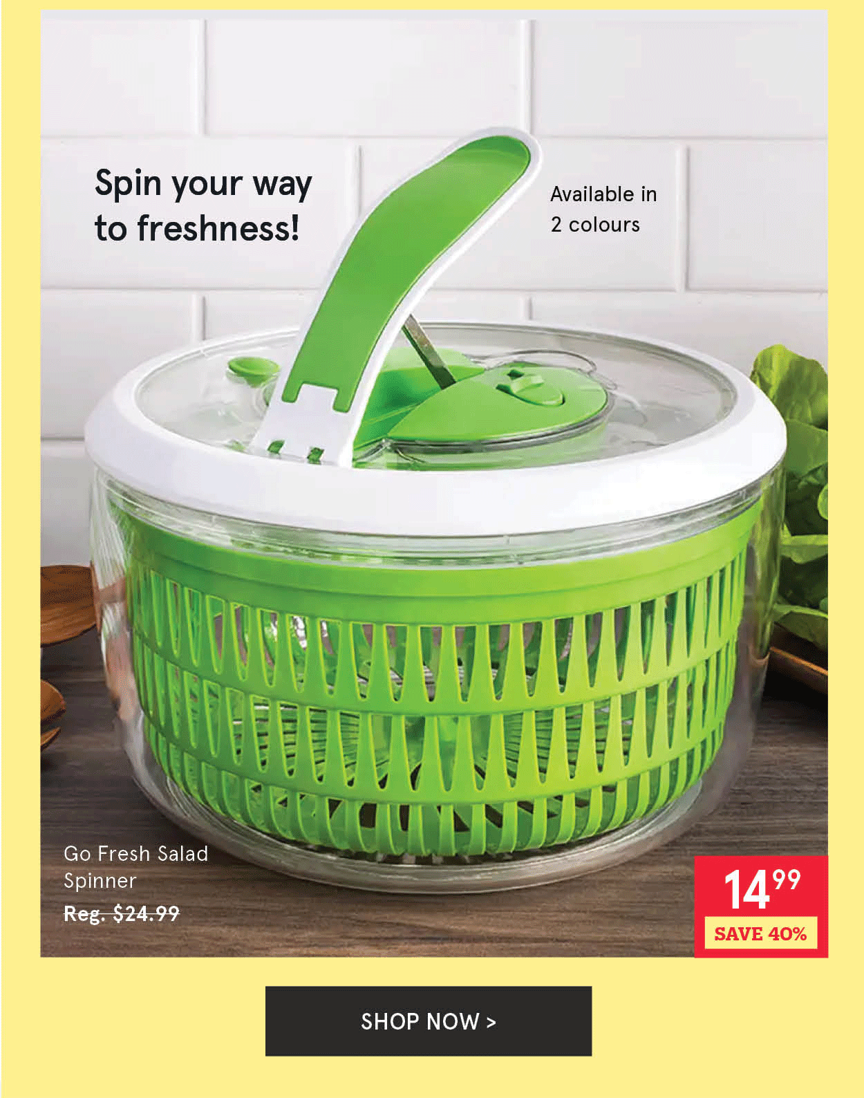 Go Fresh Salad Spinner