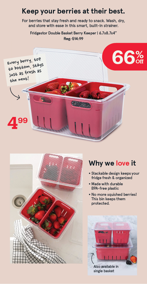 Fridgestor Double Basket Berry Keeper only $4.99