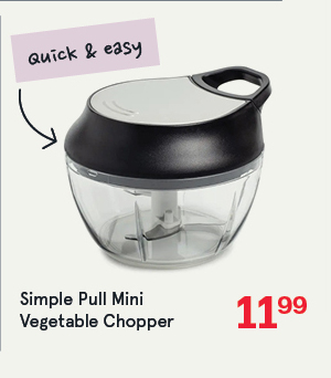 Simple Pull Mini Vegetable Chopper