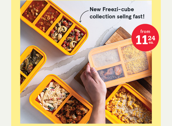 Freezicube Silicone Food & Soup Trays