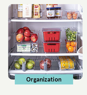 Organization