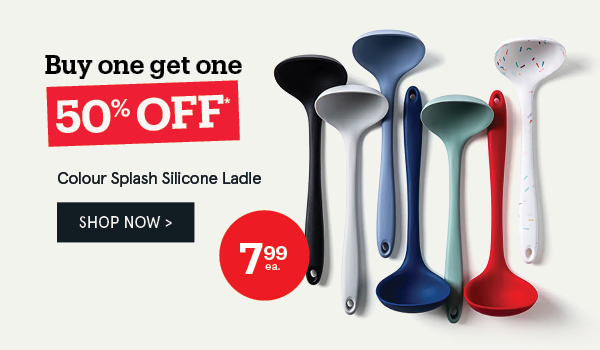 Colour Splash Silicone Ladle
