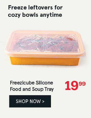 Freezicube Silicone Food and Soup Tray
