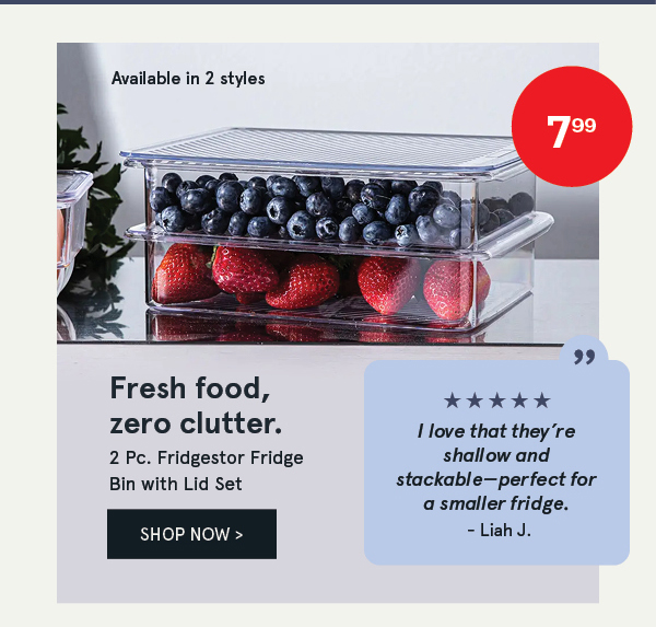 Fridgestor 'Shallow' Fridge Bin with Lid - Set of 2