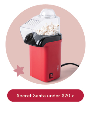 Secret Santa under $20