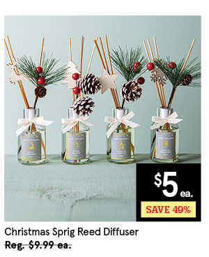 Christmas Sprig 'Apple Cinnamon' Reed Diffuser