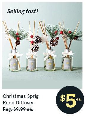 Christmas Sprig 'Roasted Chestnut' Reed Diffuser 100ml