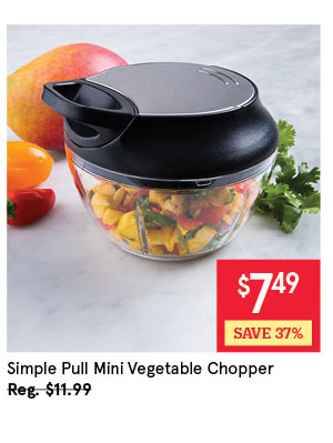 Simple Pull Mini Vegetable Chopper