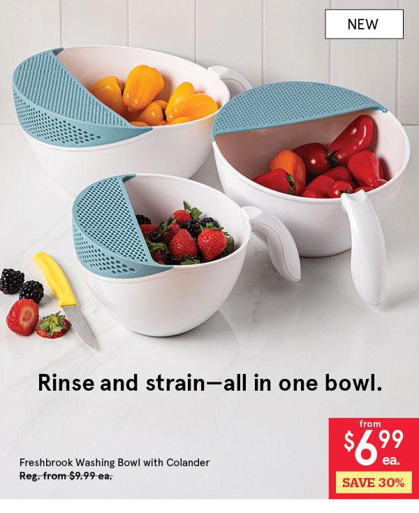 Freshbrook Washing Bowl with 2L Colander