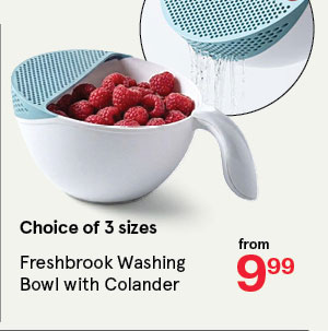 Freshbrook Washing Bowl with 2L Colander