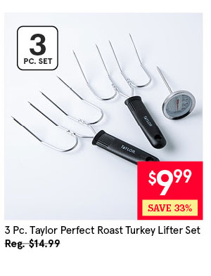 Taylor Perfect Roast Turkey Lifter with Thermometer - Set of 3